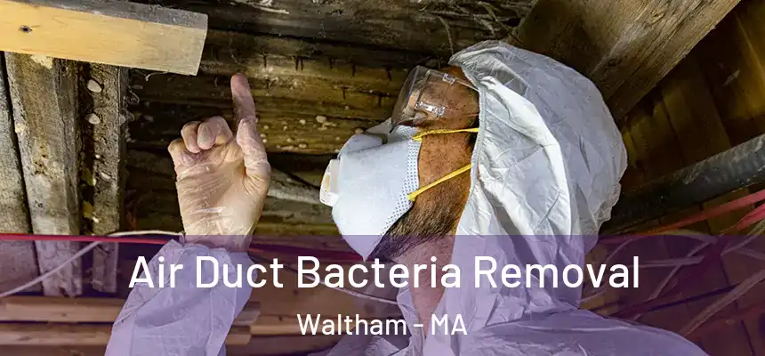  Air Duct Bacteria Removal Waltham - MA