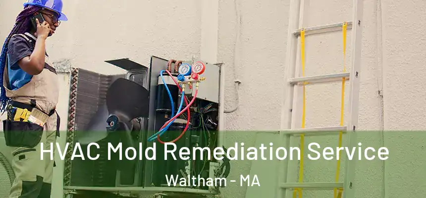  HVAC Mold Remediation Service Waltham - MA