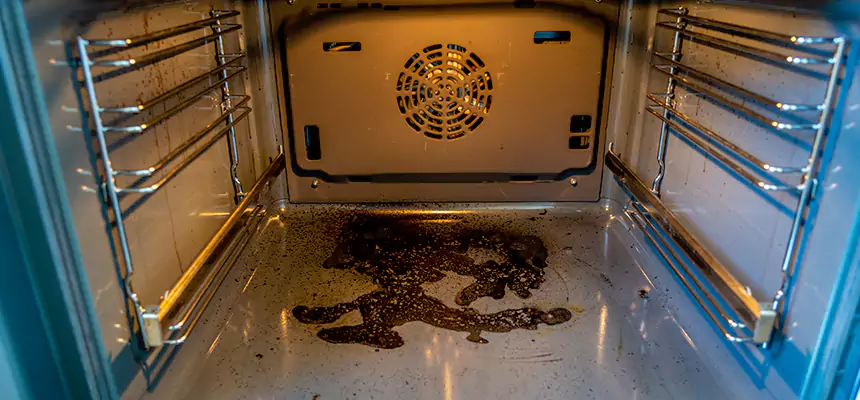 Our Dryer Vent Mold Cleaning Services in Waltham, MA