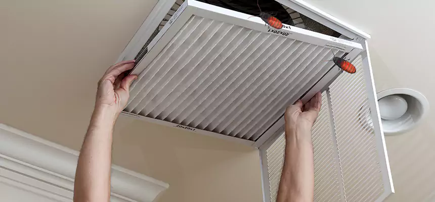 Our Insect Removal from Air Ducts Services in Waltham, MA