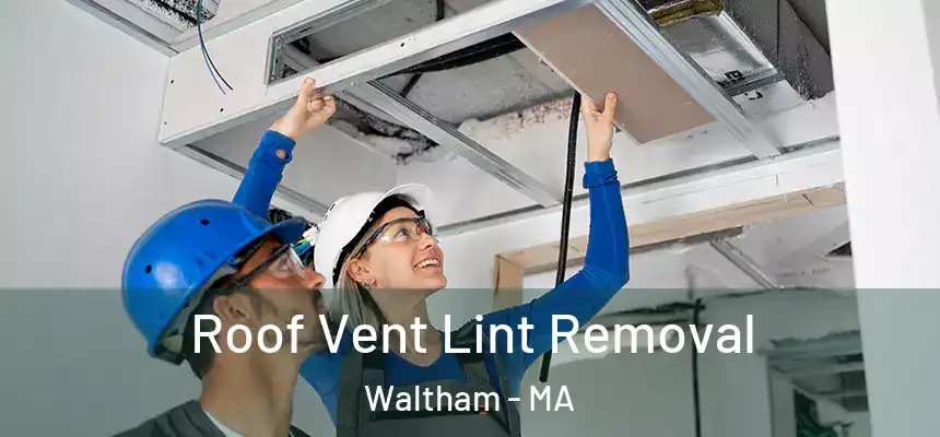  Roof Vent Lint Removal Waltham - MA