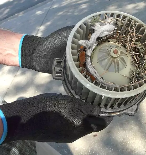 About Air Duct Mice Removal in Waltham, MA