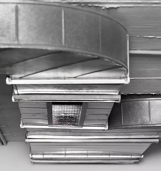 Professional Air Duct Pet Hair Removal in Waltham, MA