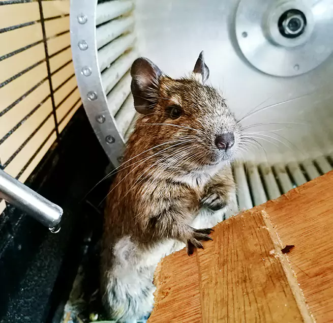 Why Homeowners & Businesses Trust Us Waltham, MA?