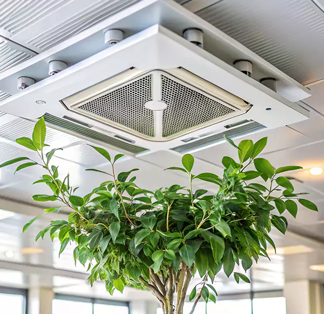 Why Homeowners & Businesses Trust Us in Waltham, MA?