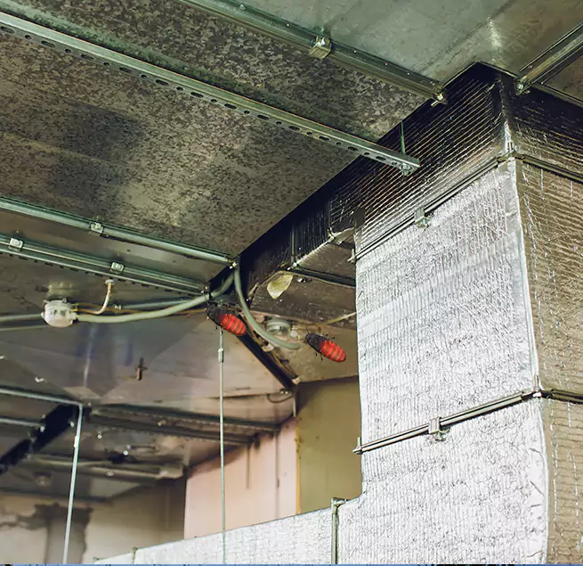 Why Homeowners & Businesses Trust Us Waltham, MA?