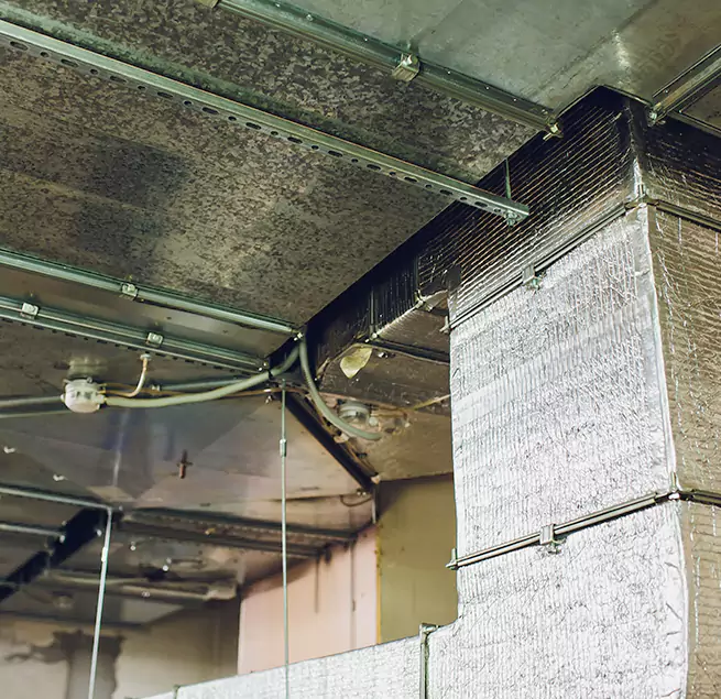 Why Homeowners & Businesses Trust Us in Waltham, MA?